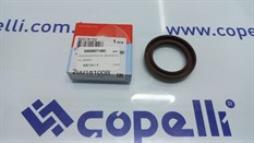 KECE,EKSANTRIK MIL 20018100 SCUDO (35*50*7)-CORTECO-FIAT