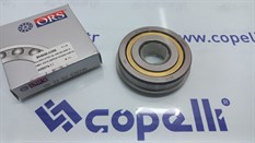 RULMAN,VITES PRIZDIREK (QJ 630106) SARI GOBEK EDKS (SERCE DOGAN KARTAL SAHIN)-ORS-TOFAS