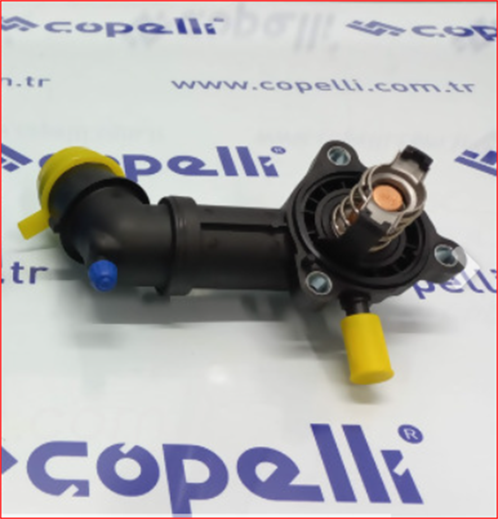 55241963-Z - 55241963-Z / ZEGEN