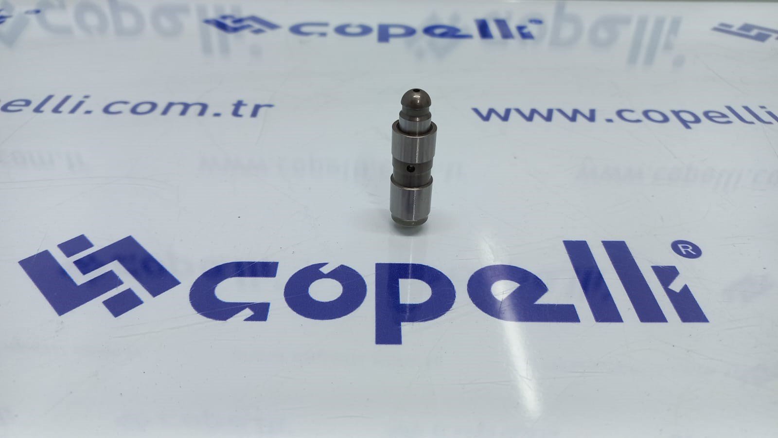 420009910 - SUBAP ITICI MEGANE II LAGUNA II K4M / INA