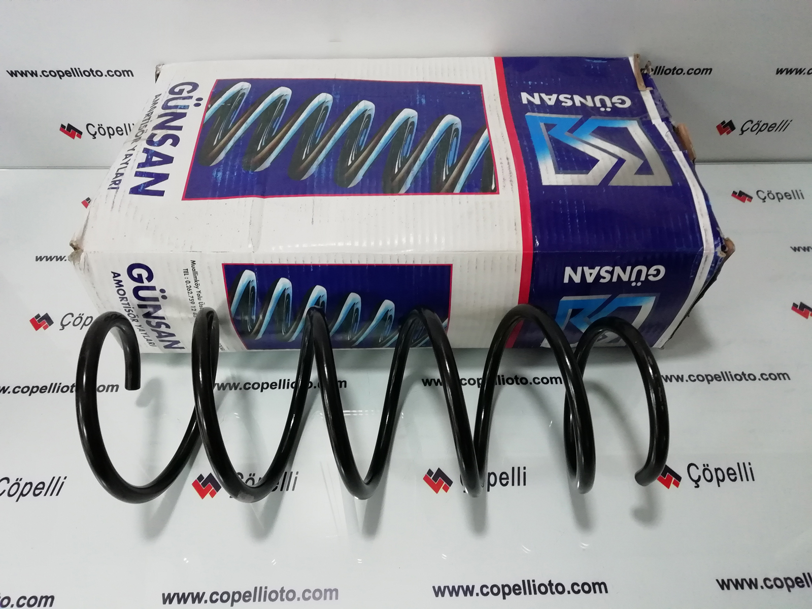 G02 0 490 - ON YAY (HELEZON), SUSPANSIYON KANGOO (6016203)(7700311490)G020490 / GUNSAN