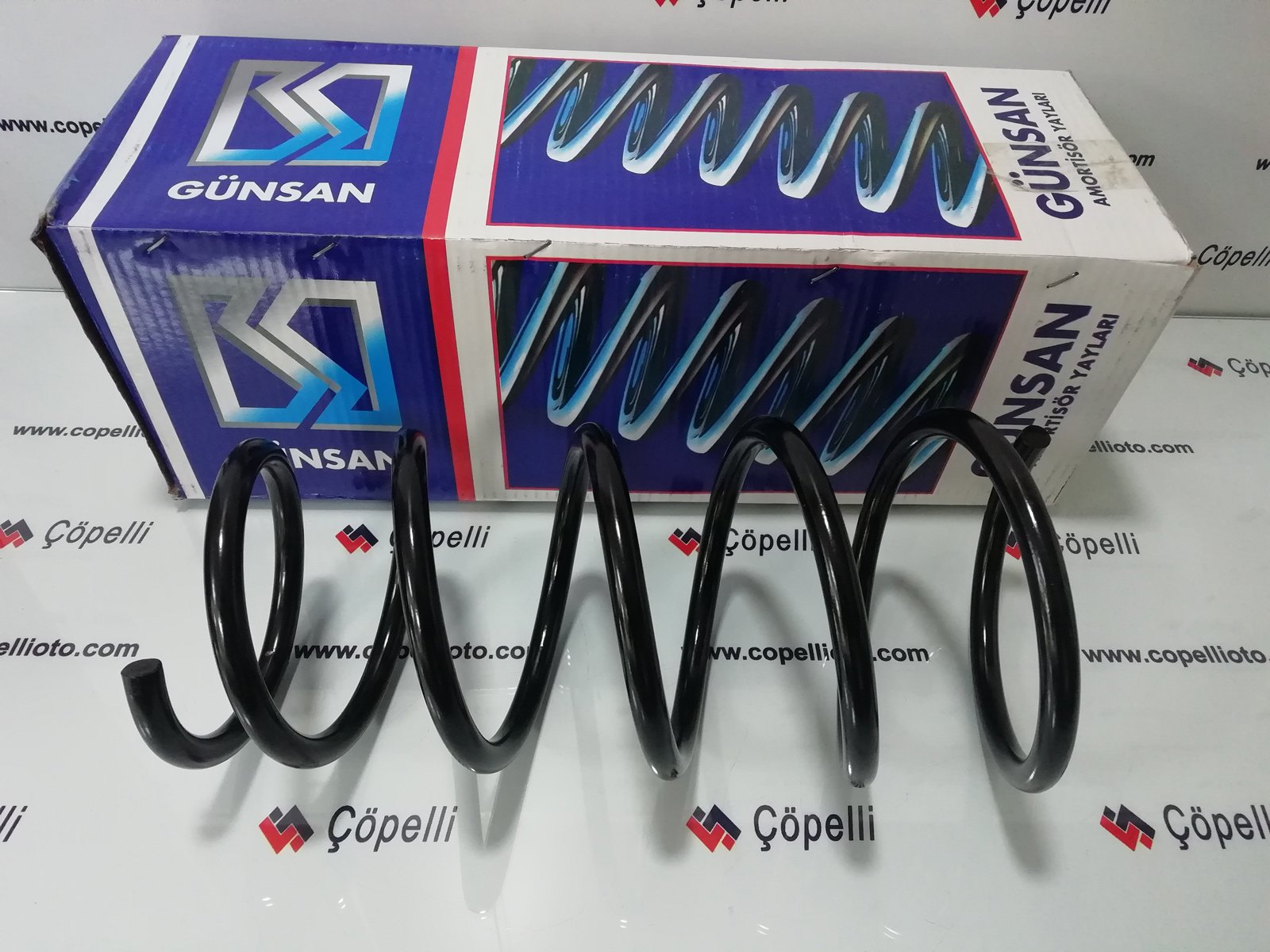 G02 0 901 - ON YAY (HELEZON), SUSPANSIYON MEGANE (7700418901 020543) G020901 / GUNSAN