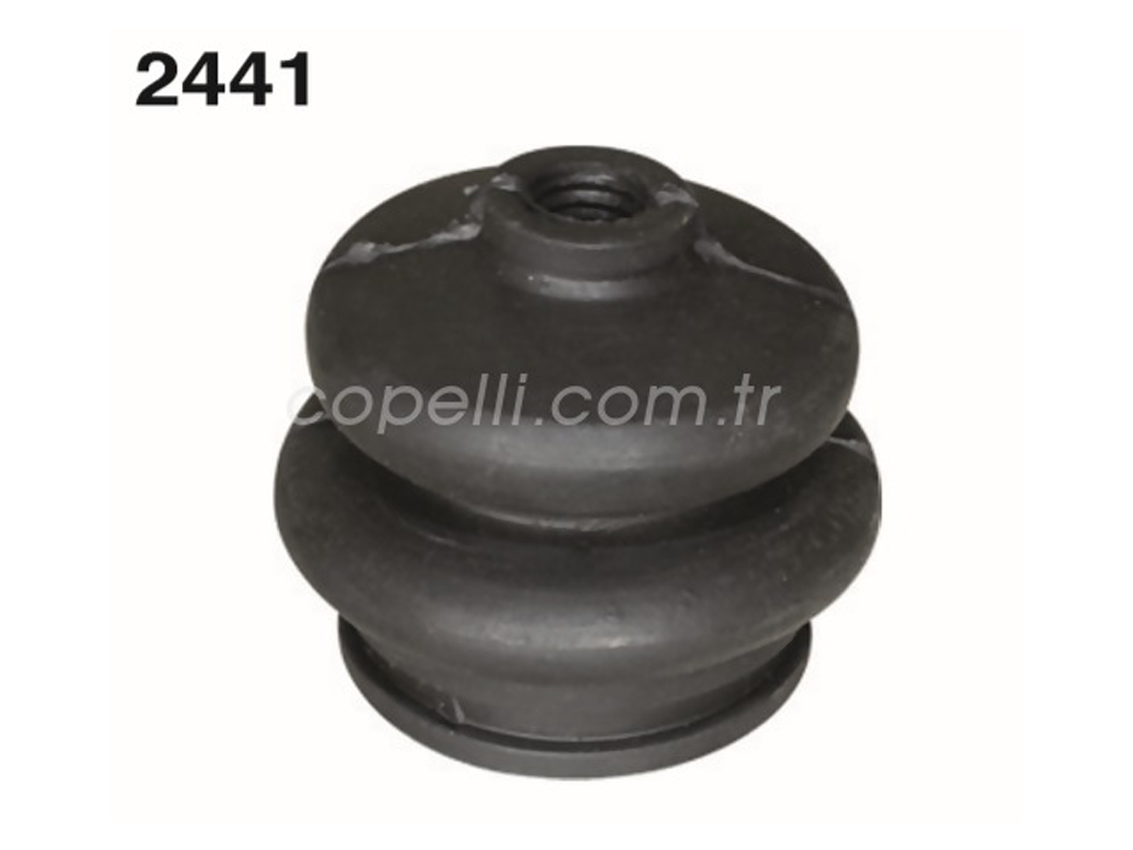 4132691A - (A-6510)KORUK,VITES ALT TOZ DEP2141 EKS / AYHAN