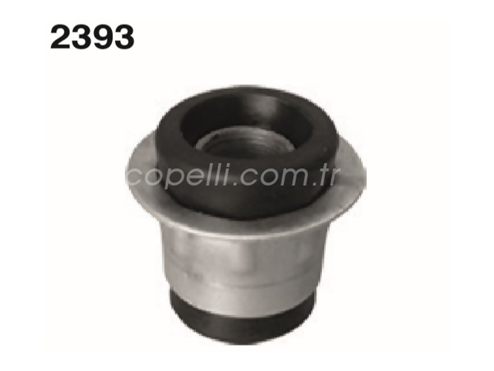 4180915A - (A-6671)BURC,UST SALINCAK SERCE / AYHAN