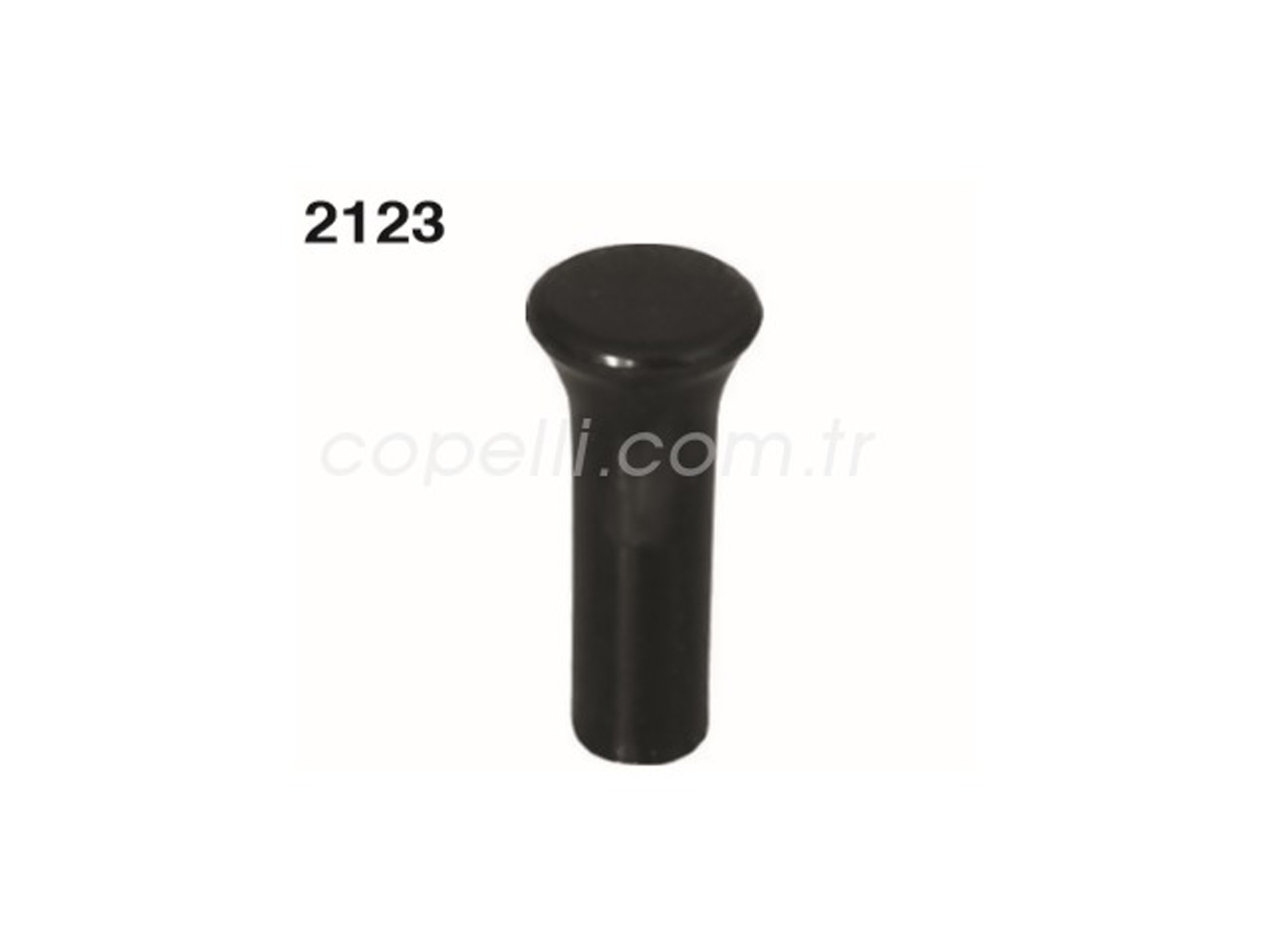 4239710A - (A-6654)BUTON,KAPI KILIT EKS (SERCE KARTAL SAHIN) / AYHAN