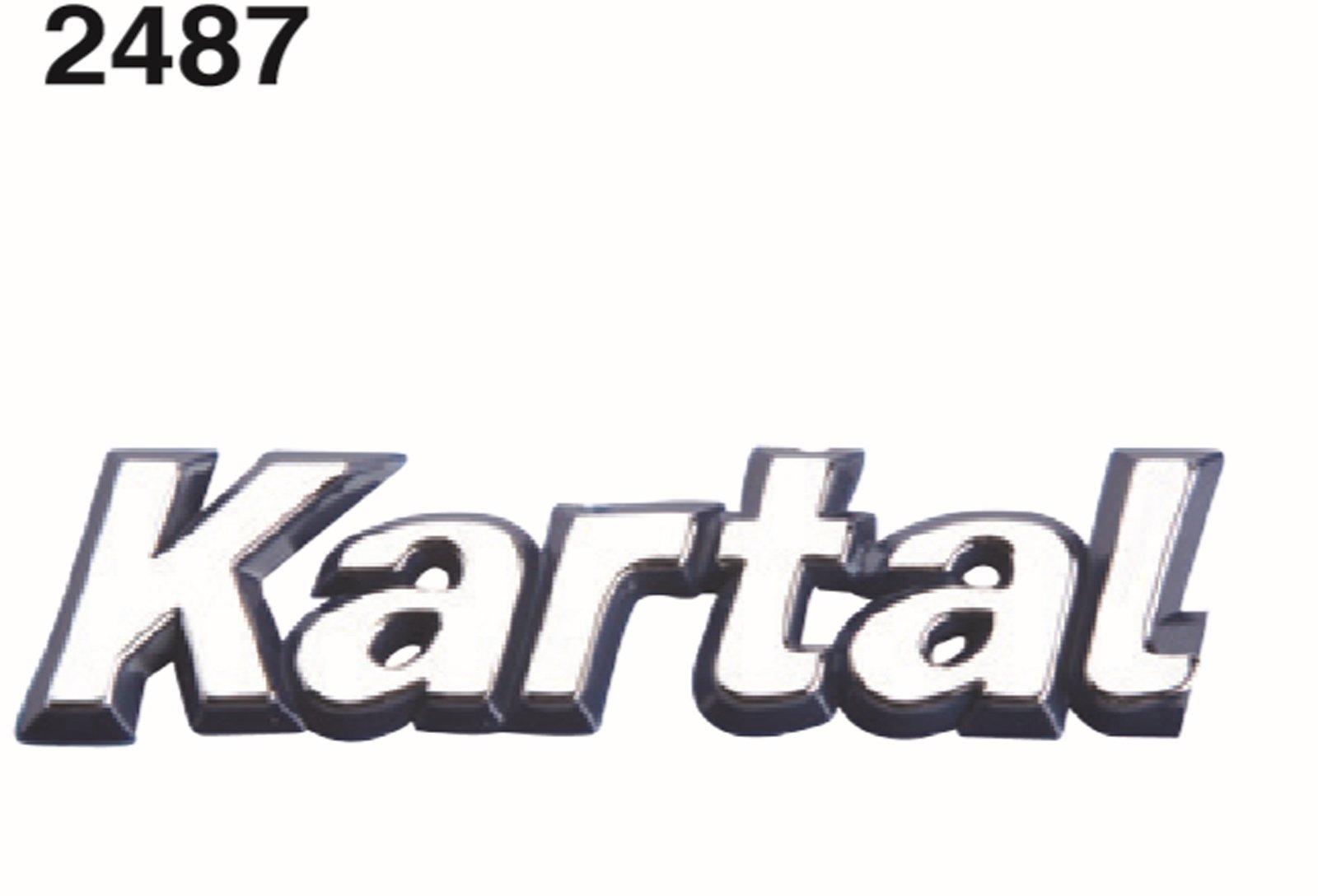 85009635A - (A-5398)YAZI,KARTAL KARTAL MAVI / AYHAN