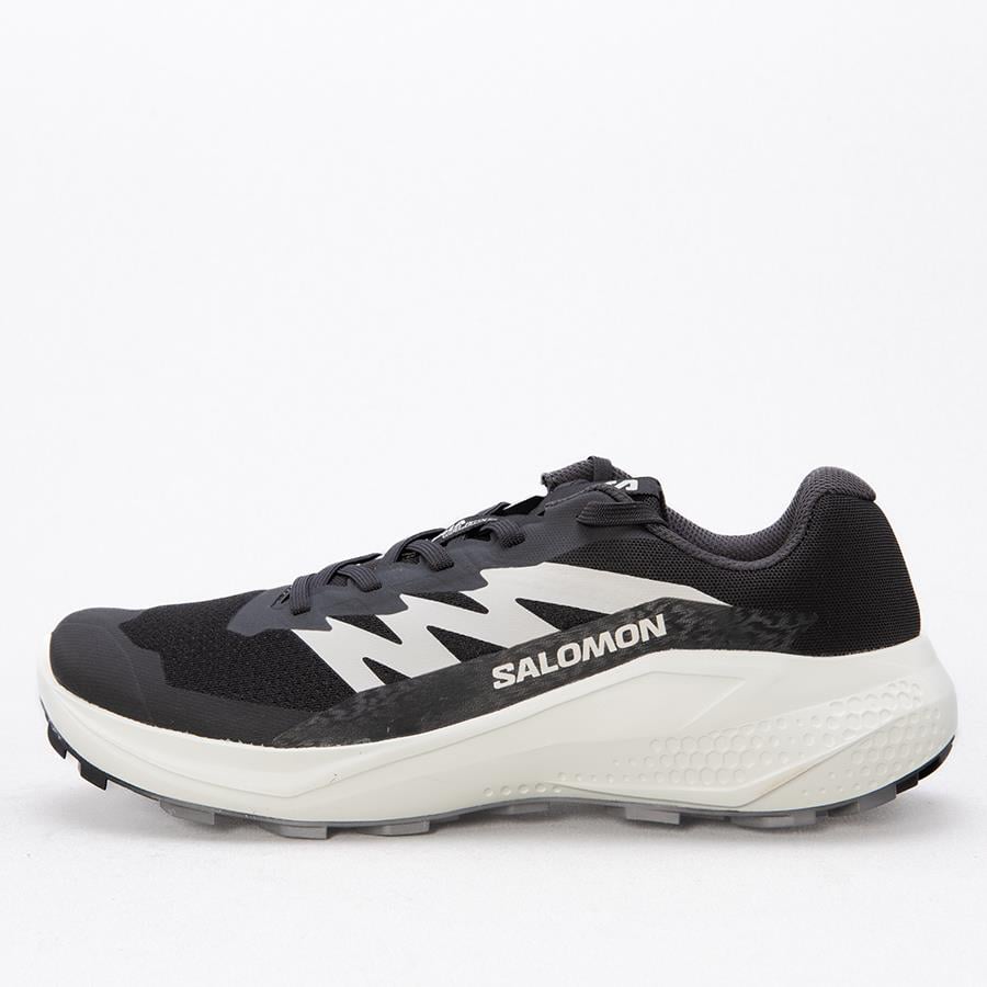 Salomon Alphaglıde Black Erkek Outdoor Ayakkabı L478010