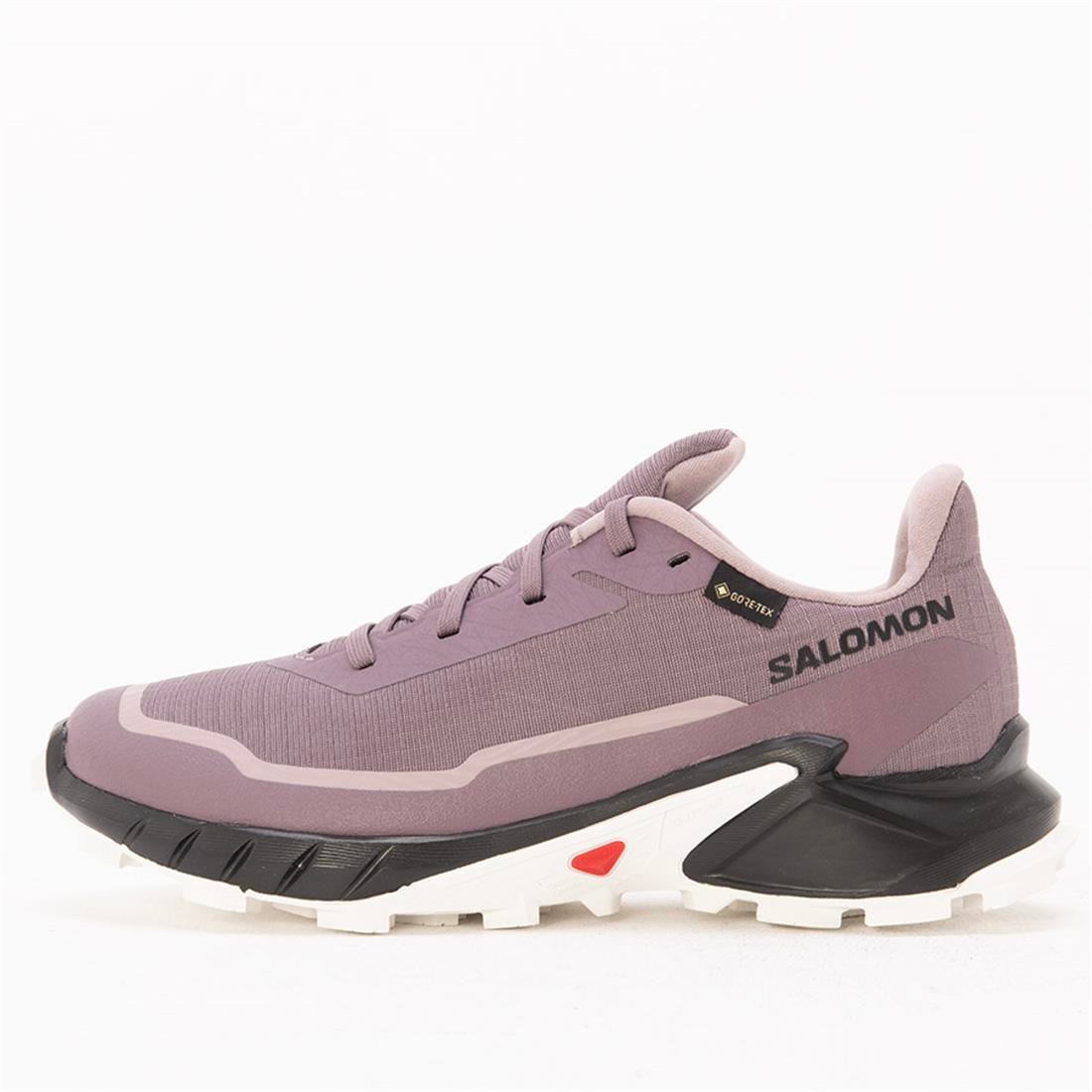 Salomon Alphacross 5 Gtx Outdoor Kadın Ayakkabı L473110