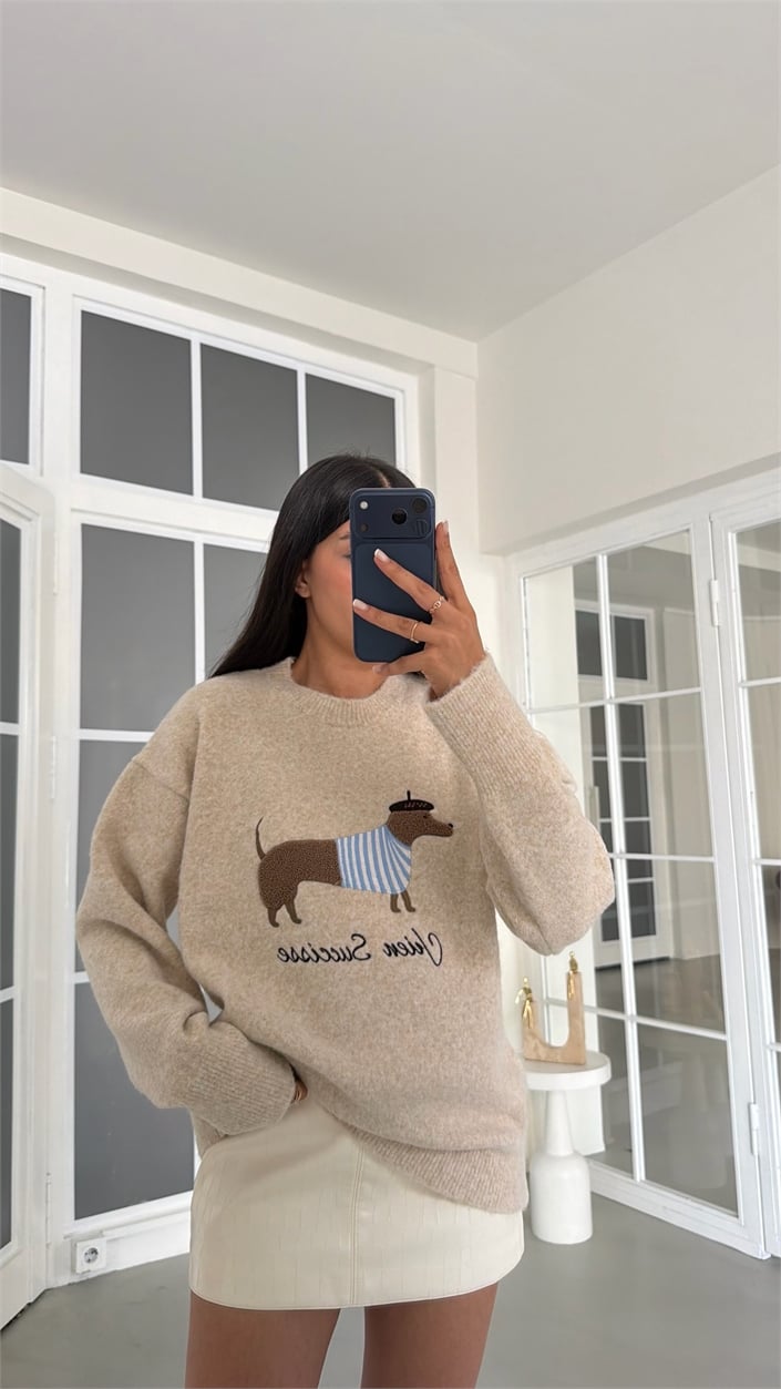 Taş Muadil Köpek Desenli Triko Kazak GAUS-02181