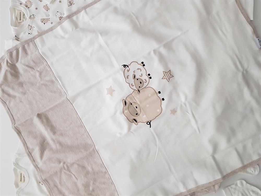 Tatlı Kuzular 10lu Yenidoğan Bebek Hastane Çıkışı Seti