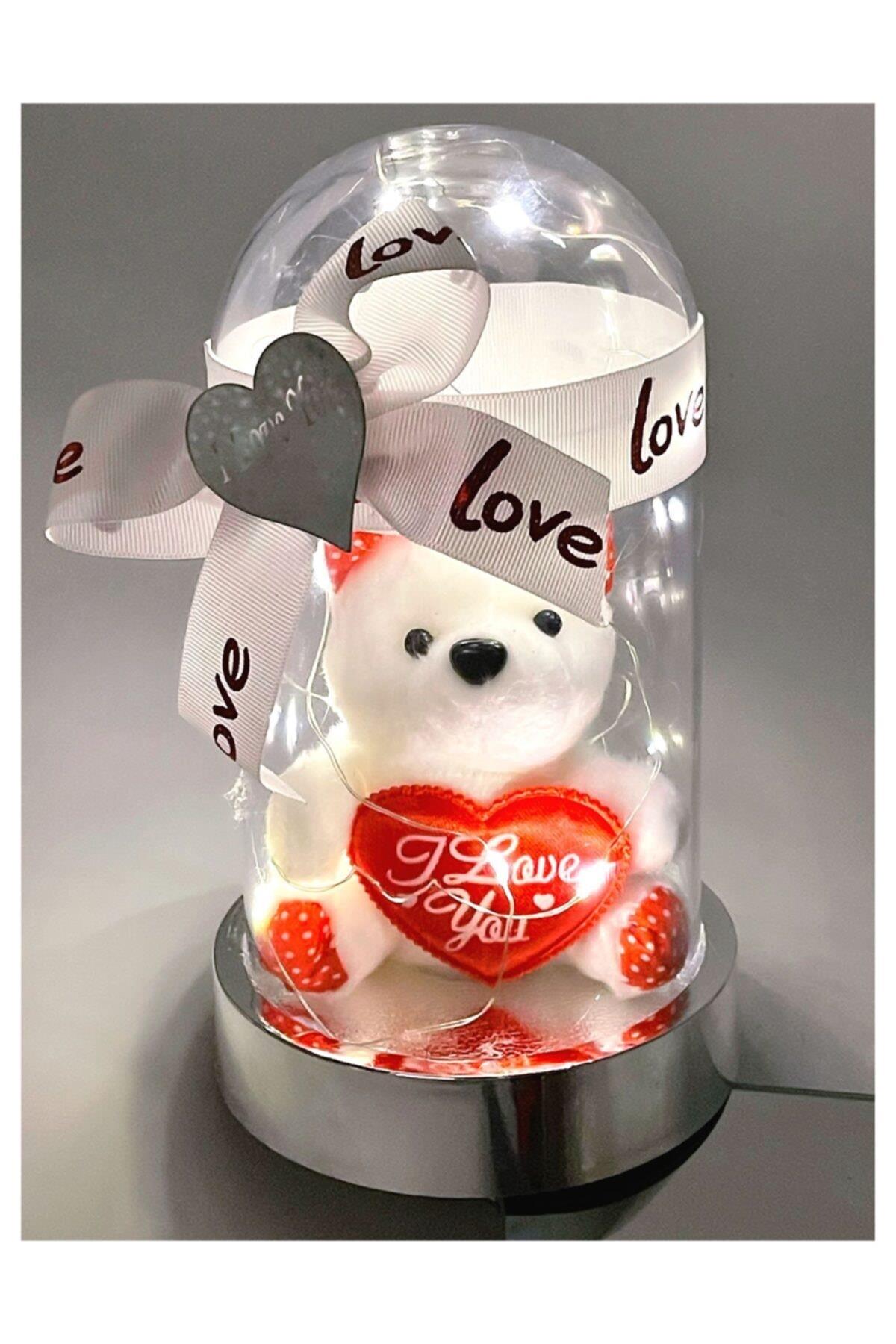 Anneler Günü Özel Sevgililer Günü Işıklı Fanuslu Teraryum Ayıcık Kalpli Love Beyaz Kırmızı
