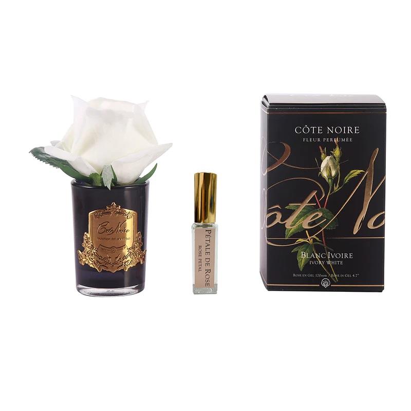 COTE NOIRE Single White Rose Gold Fragrance