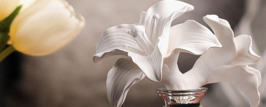 CHANDO Oda Kokusu Yuvarlak Şişe Gümüş