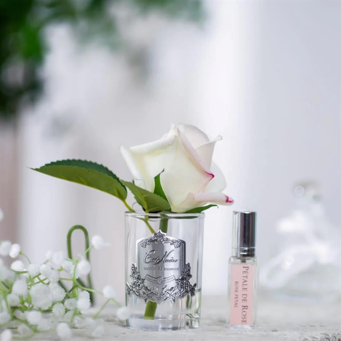 COTE NOIRE Tek Beyaz Güllü Pembe Çizgili Silver Koku