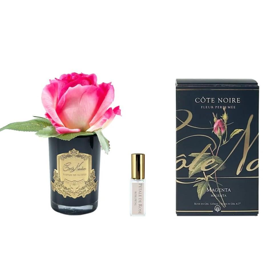 COTE NOIRE Tek Fuşya Güllü Gold Koku