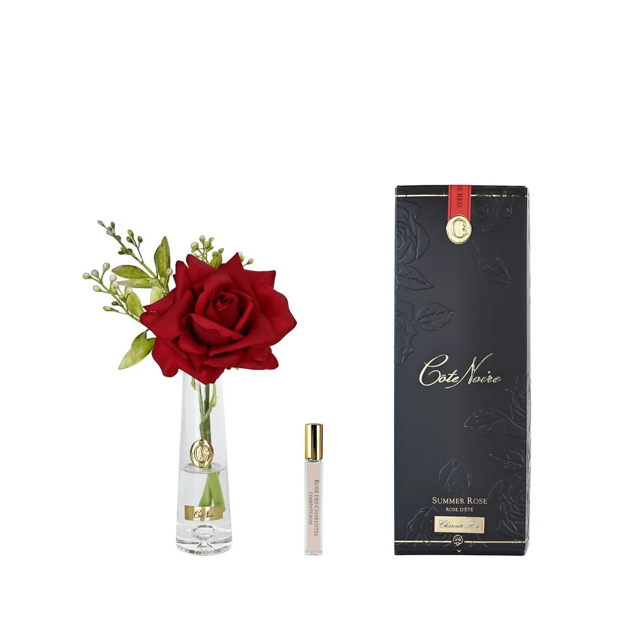 COTE NOIRE Tek Güllü Gold Kırmızı Çiçek