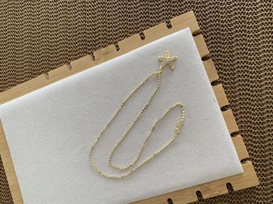 Çelik Gold Ezme Zincir Zirkon Taşlı Deniz Yıldız Kolye