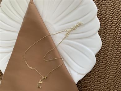Çelik Gold İnce Zincir Zirkon Taşlı Kutup Yıldız  Y Kolye