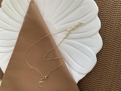 Çelik Gold İnce Zincir Zirkon Taşlı Kutup Yıldız  Y Kolye