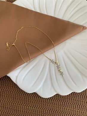 Çelik Gold İnce Zincir Zirkon Taşlı Mix Kutup Yıldız  Y Kolye
