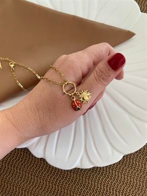 Çelik İç İçe Geçme Zincirli Uğurböceği Güneş Charm Kolye