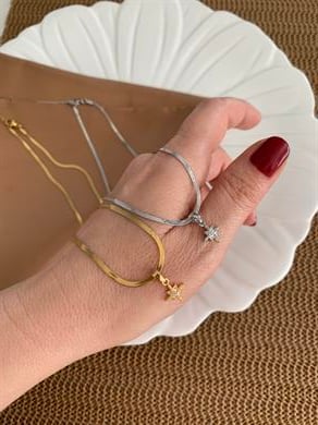 Çelik İnce İtalyan Zincir Zirkon Taşlı Mini Kutup Yıldız Kolye