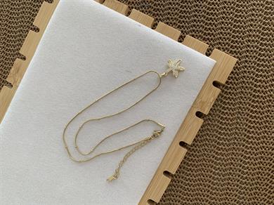 Çelik İnce Topçuk Zincir Sdf Zirkon Taşlı Deniz Yıldız Kolye