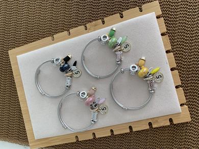 Özel Seri Gümüş Para Charm Bilezik