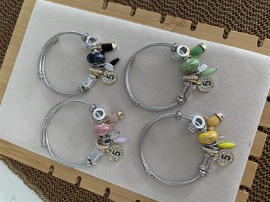 Özel Seri Gümüş Para Charm Bilezik