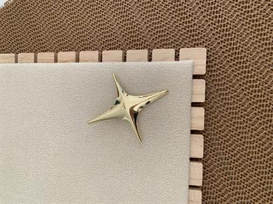 Özel Seri Plaka Büyük Kuzey Yıldız Broş