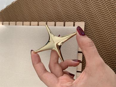 Özel Seri Plaka Büyük Kuzey Yıldız Broş