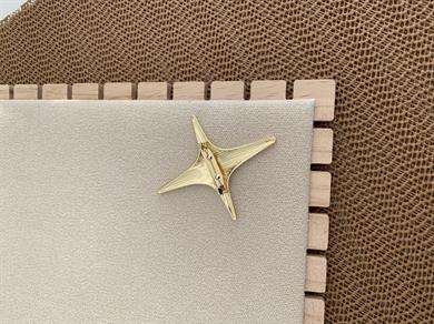 Özel Seri Plaka Büyük Kuzey Yıldız Broş