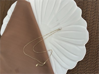Vip Gold 45 Cm İnce Zincirli Küçük Daire Tek Taş Kolye