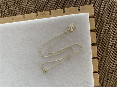 Vip Gold İnce Zincir Gömme Taşlı Yıldız Plaka Kolye