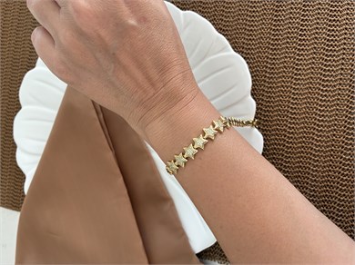 Vip Gold Zirkon Taşlı Plaka Yıldız Sıralı Bileklik
