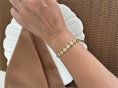 Vip Gold Zirkon Taşlı Plaka Yıldız Sıralı Bileklik