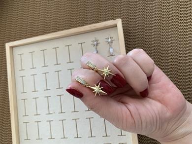 Vip Zirkon Taşlı Plaka Kutup Yıldız Sallantılı Küpe