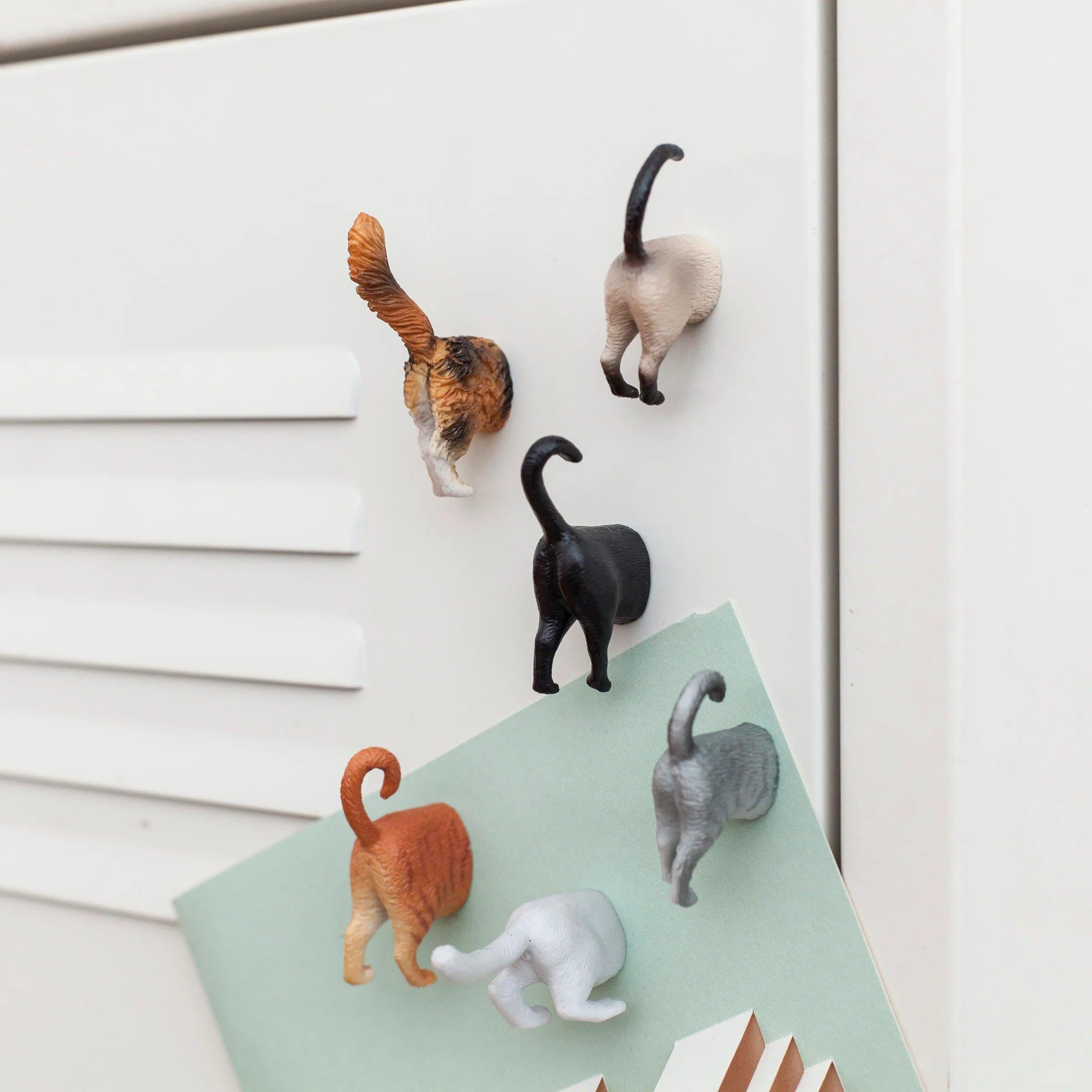 Kikkerland Cat Butt Magnets-Magnet Kedi Poposu