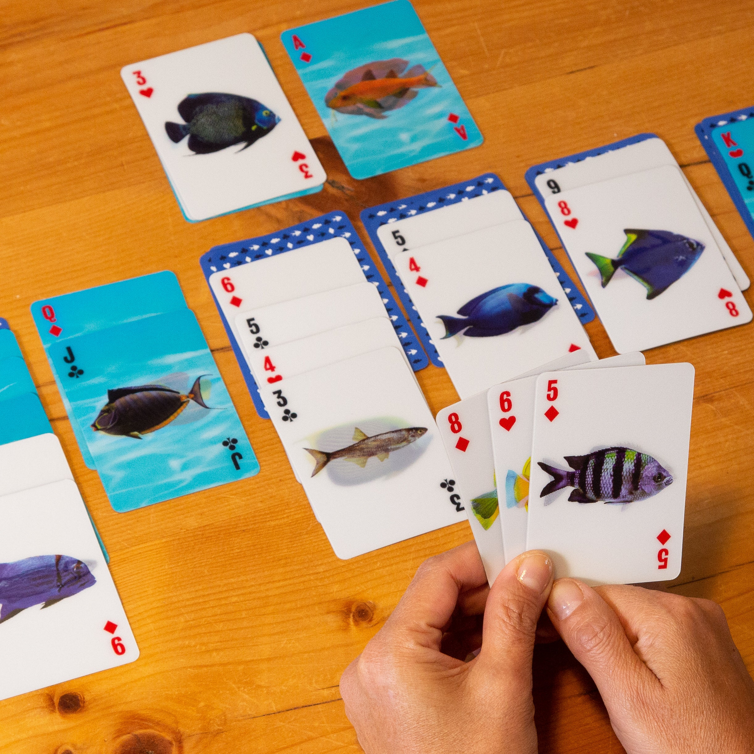 Kıkkerland 3-D Fish Cards-3-D Oyun Kartı Balık Temalı