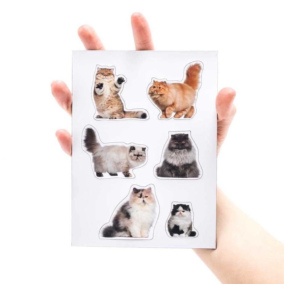 Mustard Magnet Kedi Fat Cats