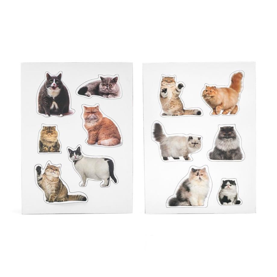 Mustard Magnet Kedi Fat Cats