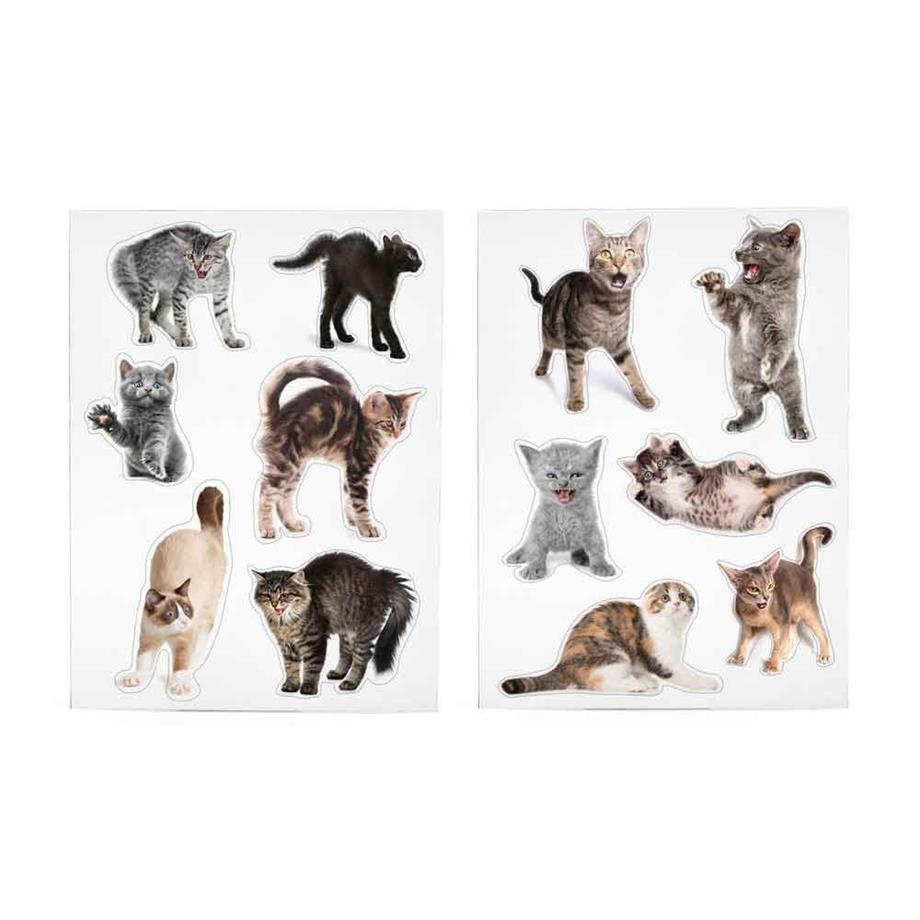 Mustard Magnet Kedi Scaredy Cats