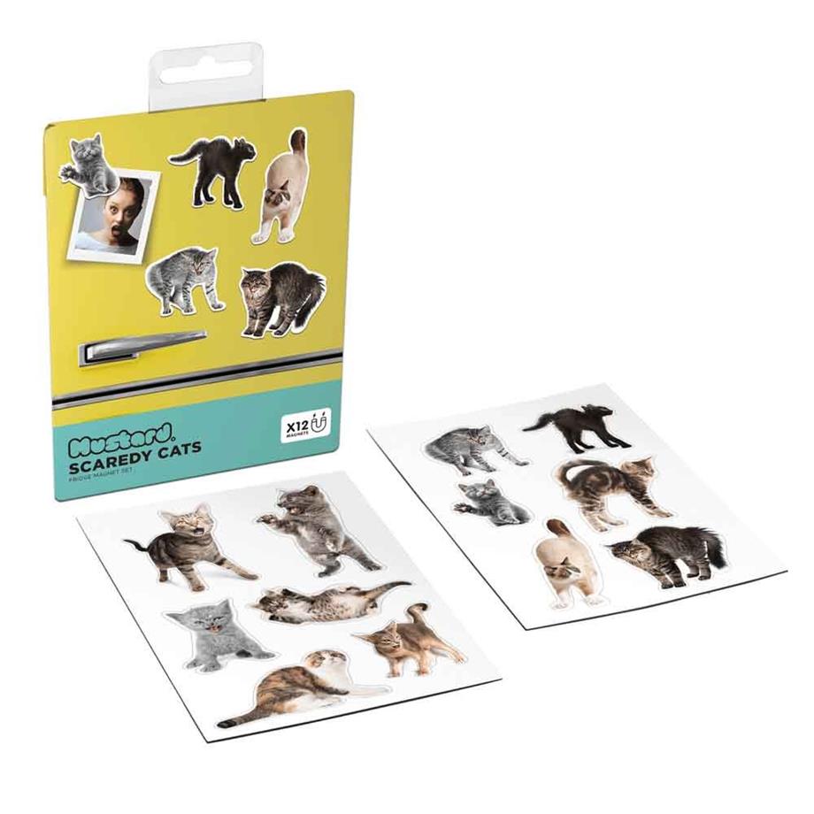 Mustard Magnet Kedi Scaredy Cats