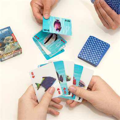 Kıkkerland 3-D Fish Cards-3-D Oyun Kartı Balık Temalı