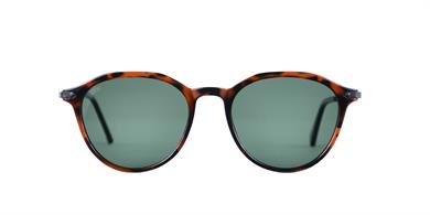 Looklight Güneş Gözlüğü Gregor Chocolate Green (LL425)