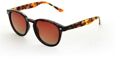 Looklight Güneş Gözlüğü Langdon Bold Chocolate (LL962)
