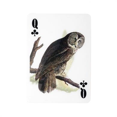 Kikkerland 3-D Bird playing cards-3-D Kuş Temalı Oyun Kartı