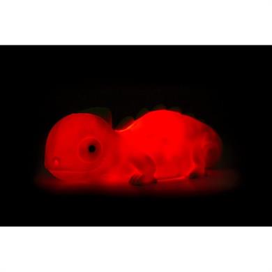 Dhink Gece Lambası Iguana