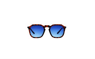 Looklight Güneş Gözlüğü Francisco Chocolate Blue Degrade (LL487)