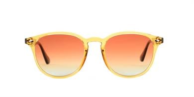 Looklight Güneş Gözlüğü Langdon Daisy (LL413)